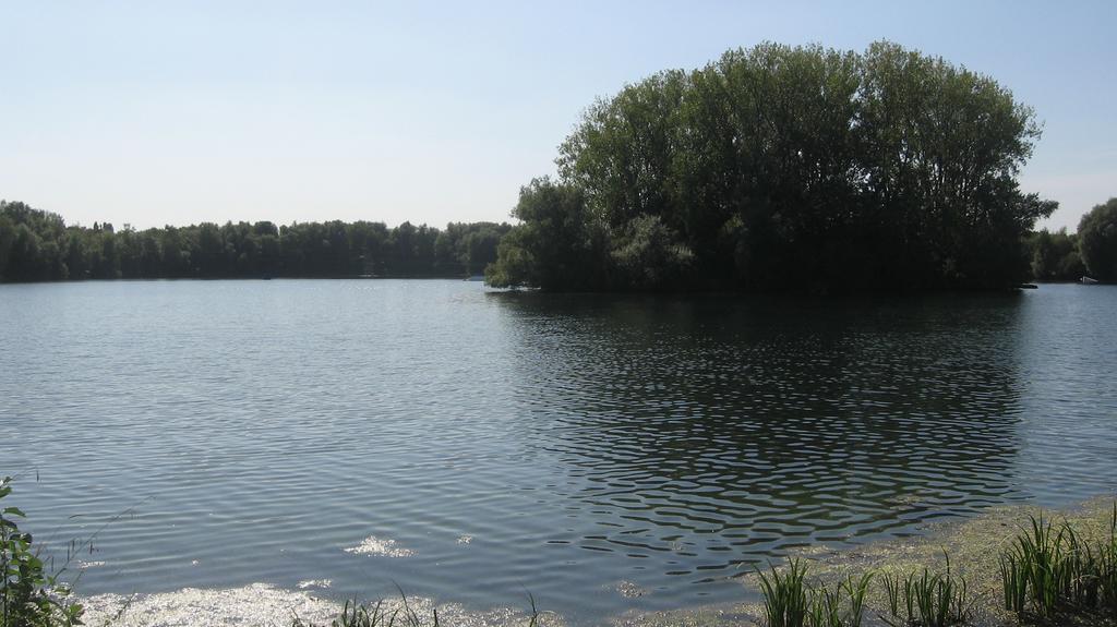 Meerfeld *